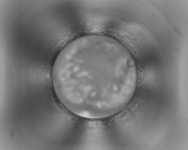 X0000115430415200911251229