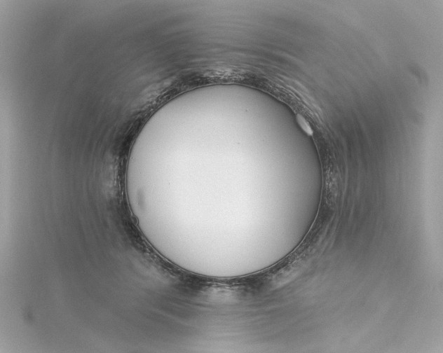 X0000115430416200911251229