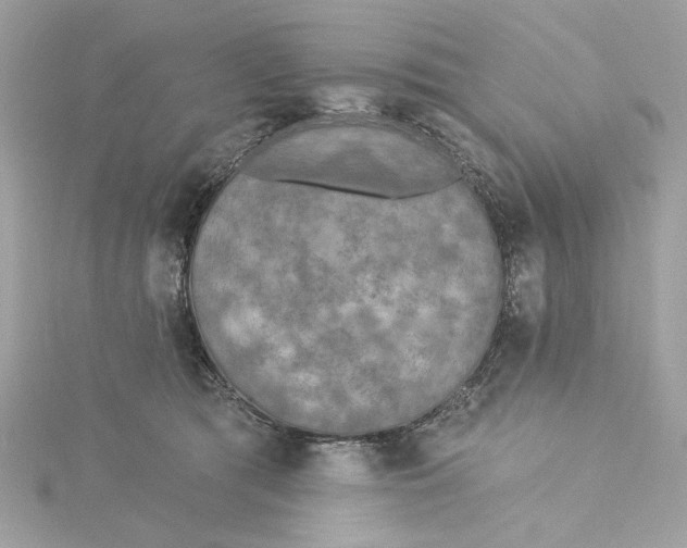 X0000115430417200911251229