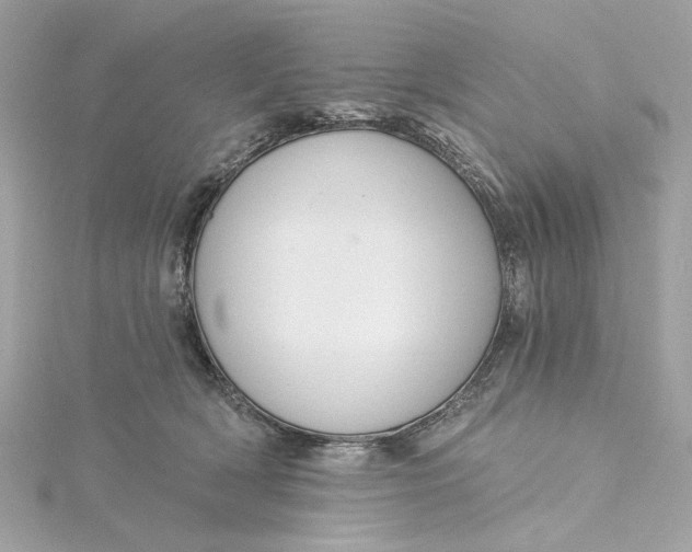 X0000115430418200911251229