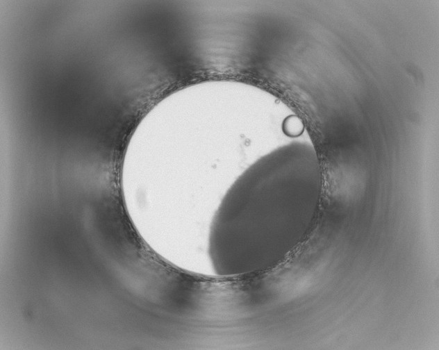 X0000115430419200911251229