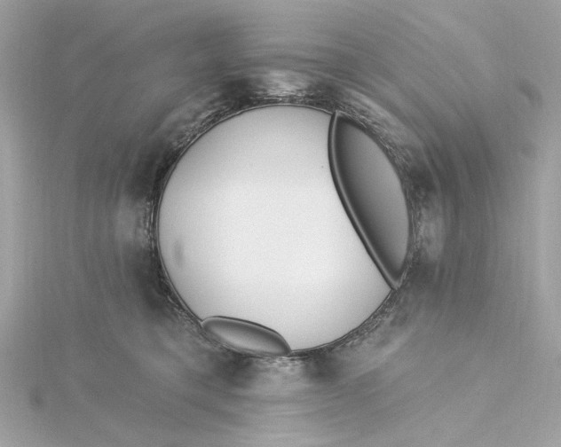 X0000115430421200911251229