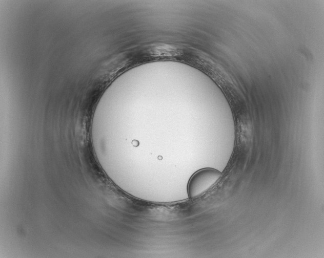 X0000115430422200911251229