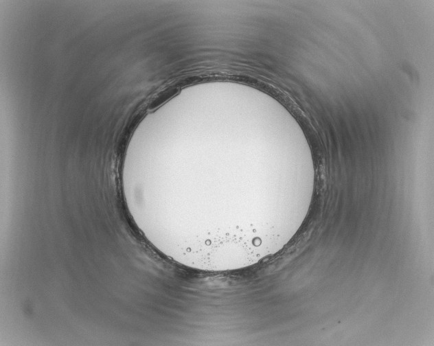 X0000115430423200911251229