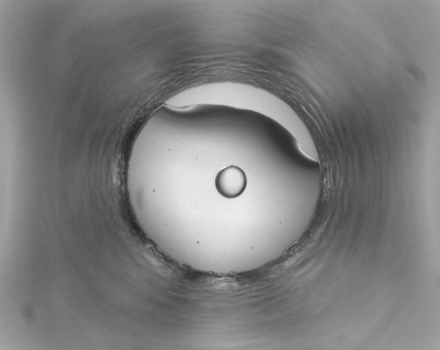 X0000115430424200911251229