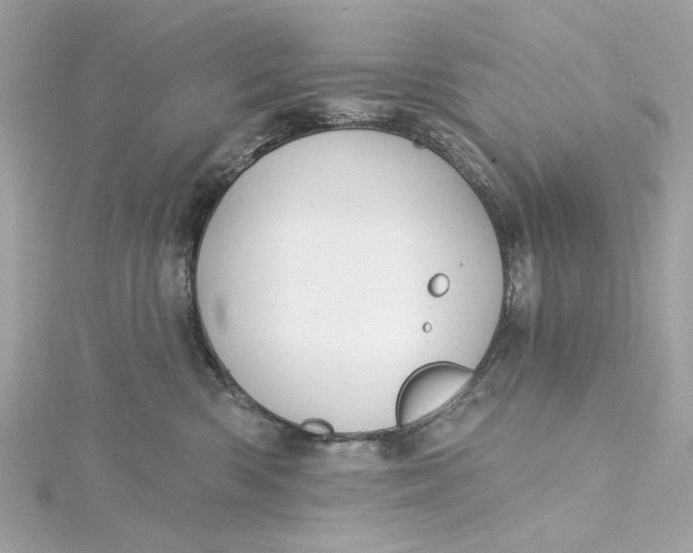 X0000115430426200911251229