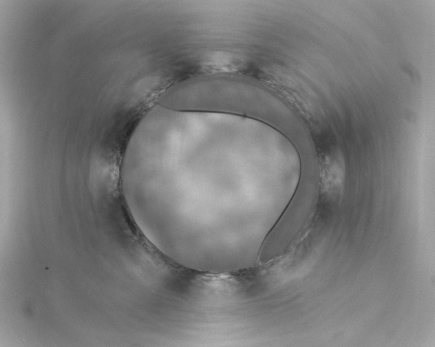 X0000115430427200911251229