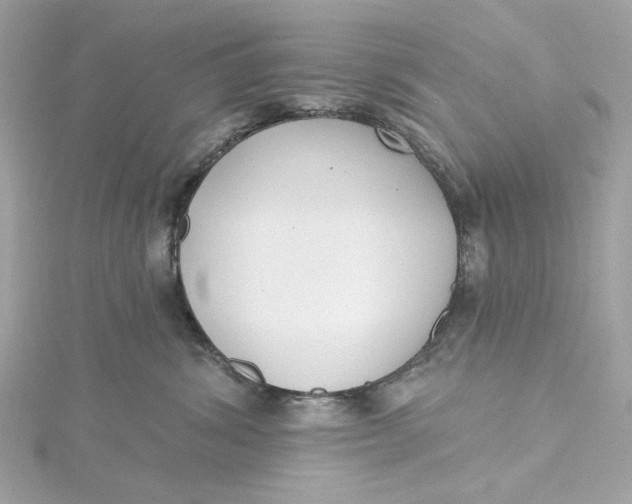 X0000115430428200911251229