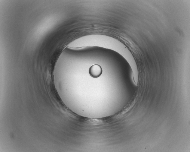 X0000115430429200911251229