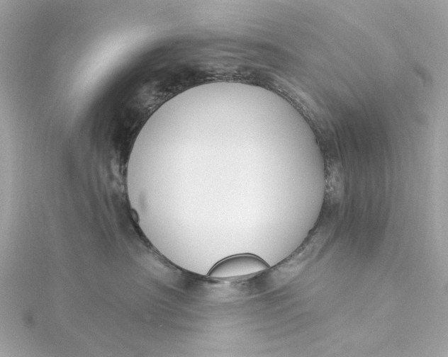 X0000115430430200911251229