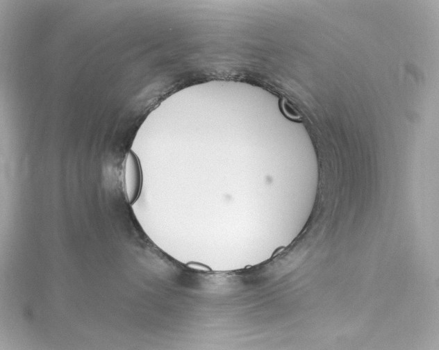 X0000115430432200911251229