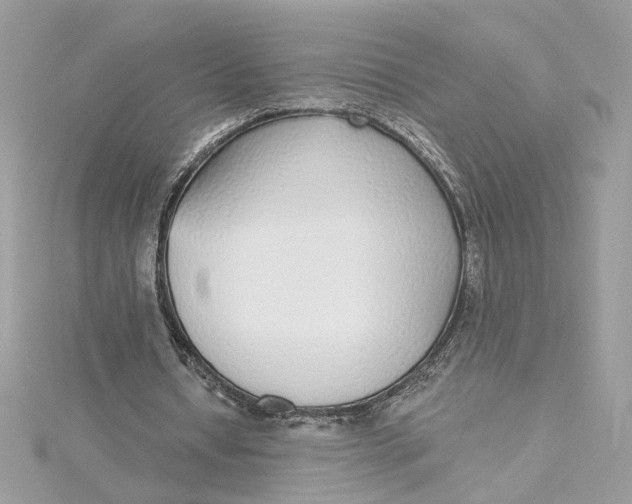 X0000115430434200911251229