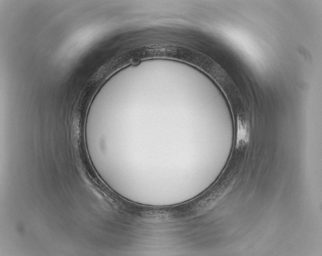 X0000115430435200911251229