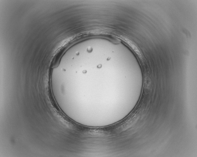 X0000115430437200911251229