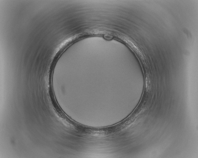 X0000115430438200911251229