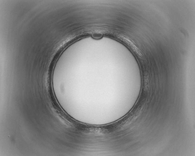 X0000115430439200911251229