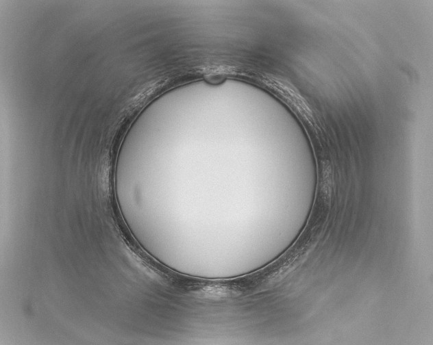 X0000115430441200911251229