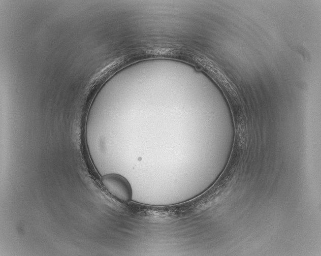 X0000115430442200911251229