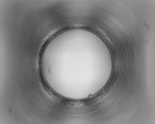 X0000115430443200911251229