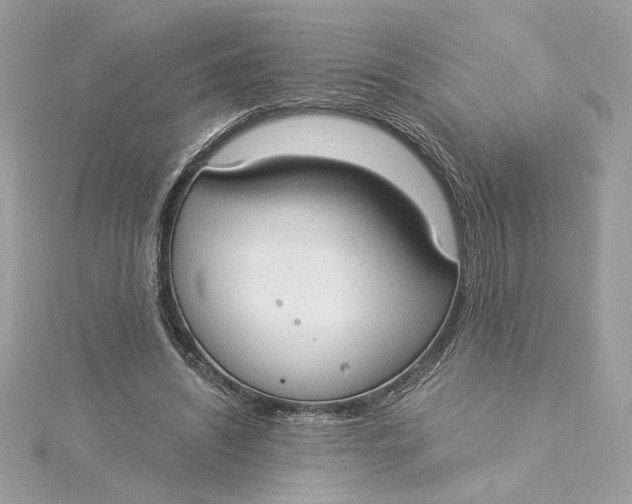 X0000115430444200911251229