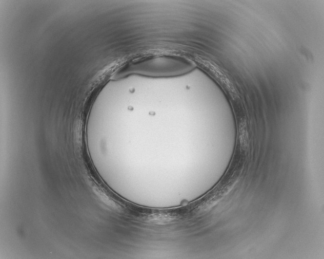 X0000115430445200911251229