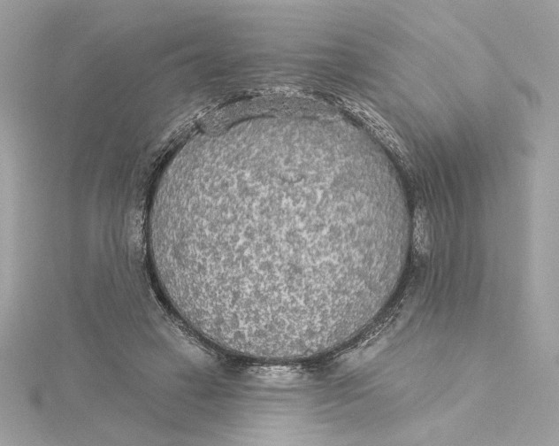 X0000115430449200911251229