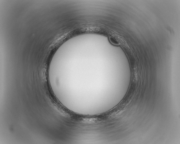 X0000115430450200911251229