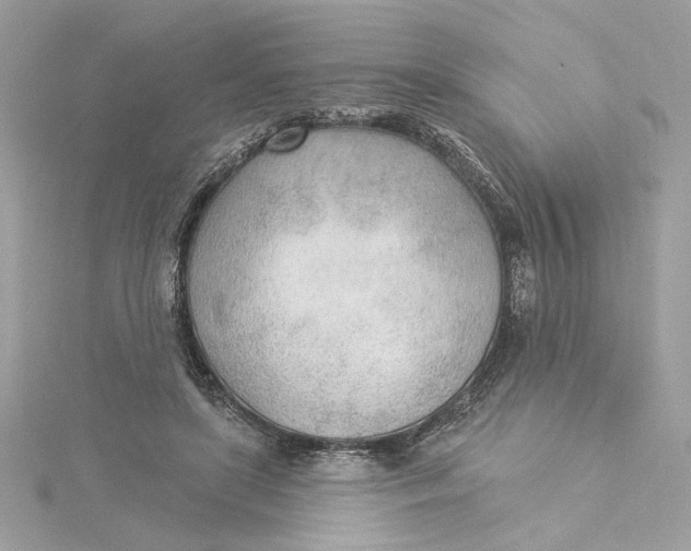 X0000115430451200911251229