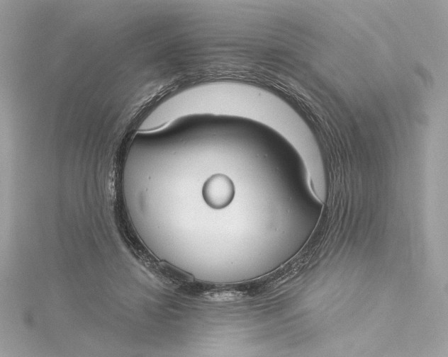 X0000115430452200911251229