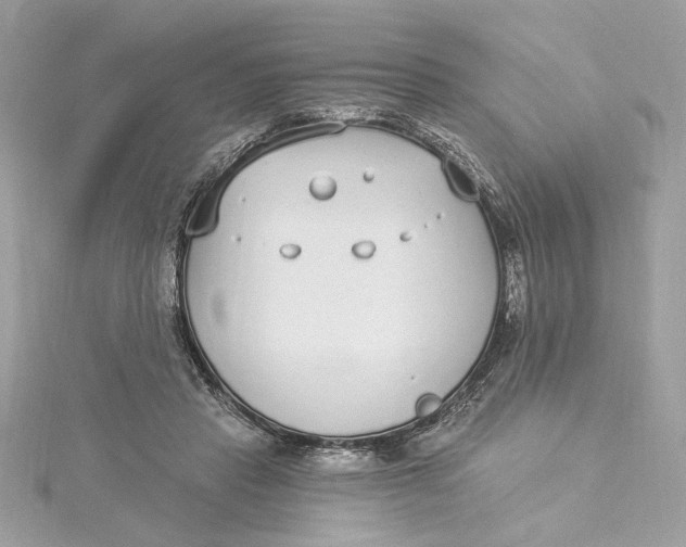 X0000115430453200911251229