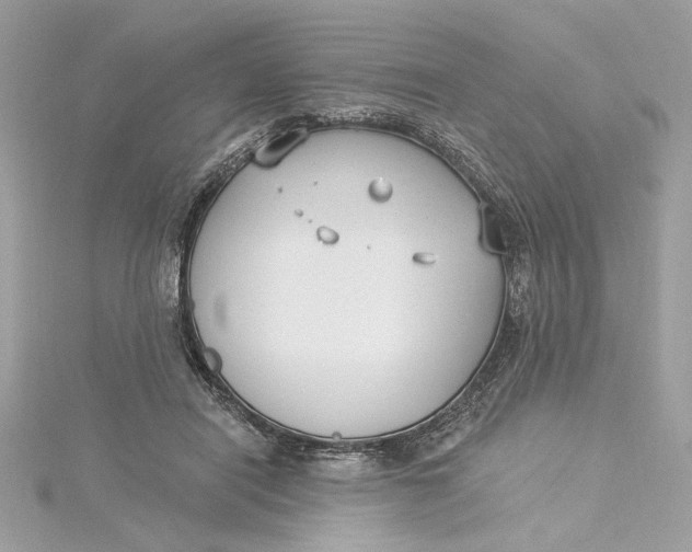 X0000115430454200911251229