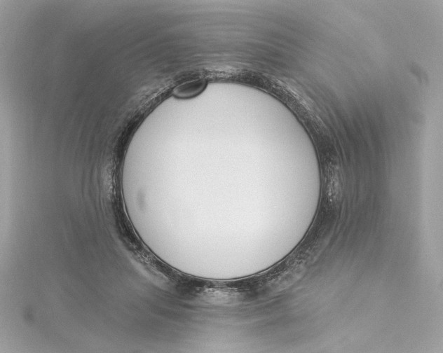 X0000115430455200911251229