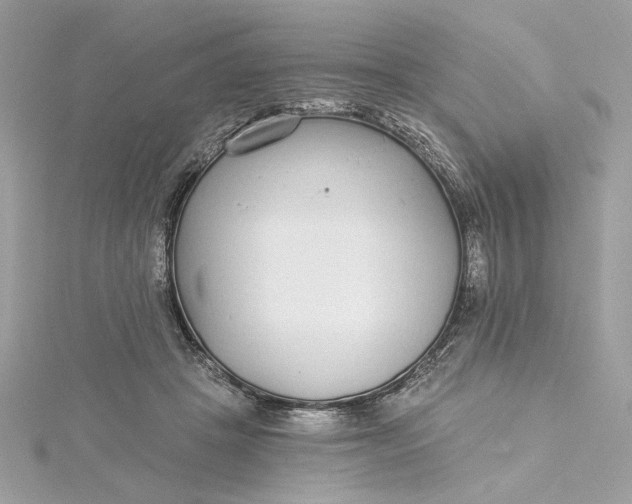 X0000115430457200911251229