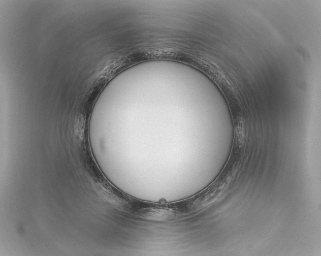 X0000115430458200911251229