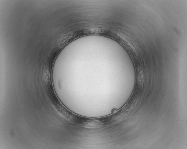 X0000115430459200911251229