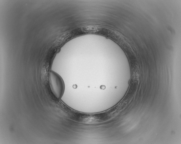 X0000115430460200911251229