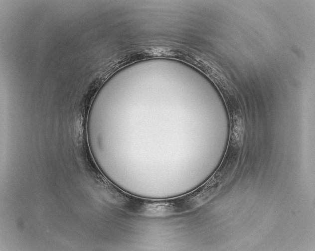 X0000115430461200911251229