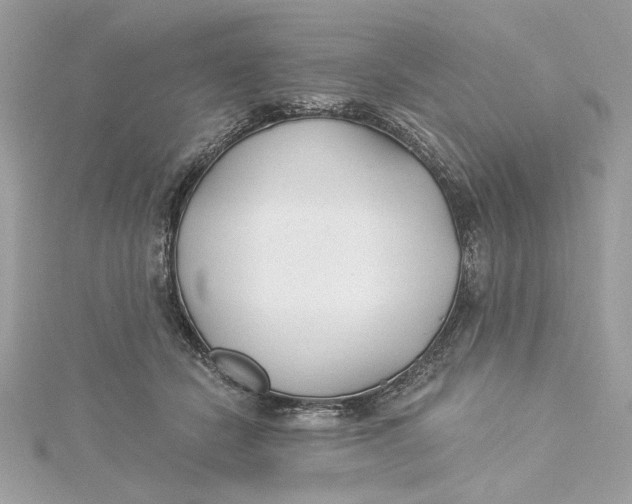 X0000115430462200911251229