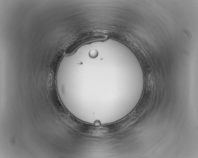 X0000115430463200911251229