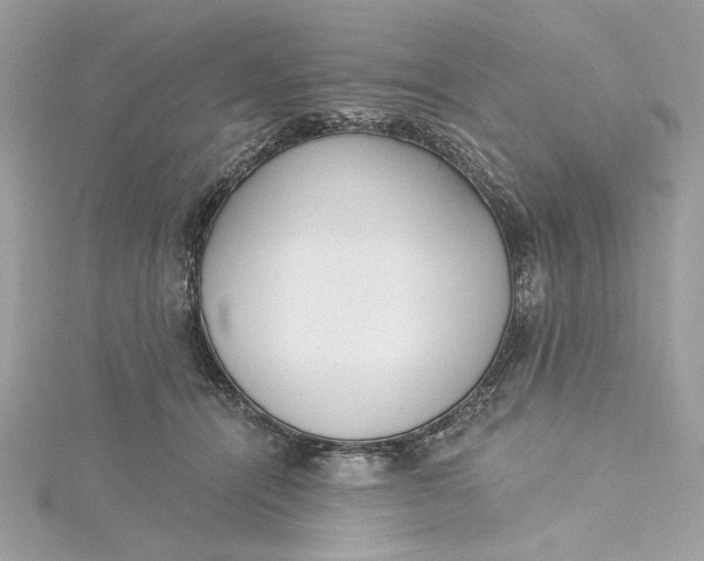 X0000115430464200911251229