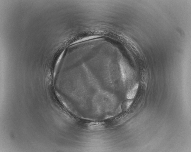 X0000115430465200911251229