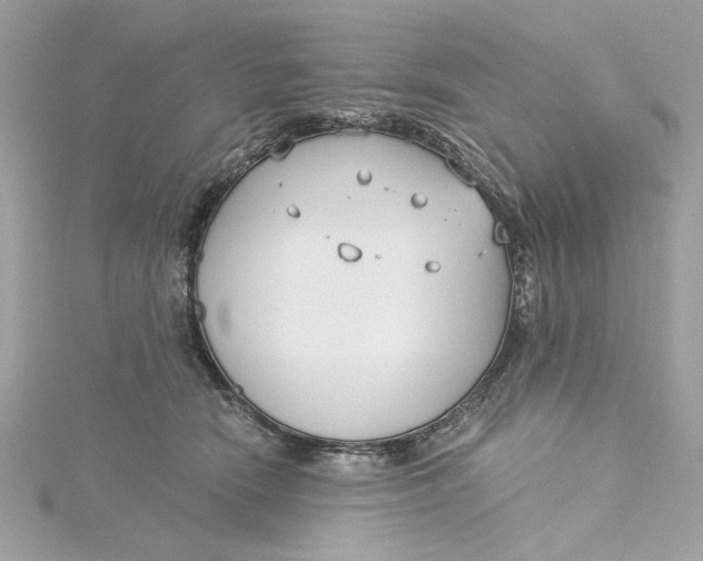 X0000115430466200911251229