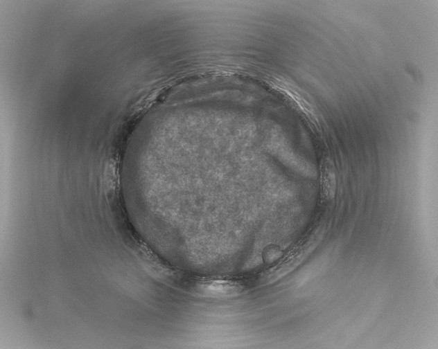 X0000115430467200911251229