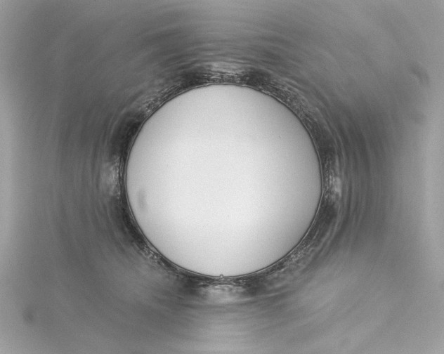 X0000115430468200911251229