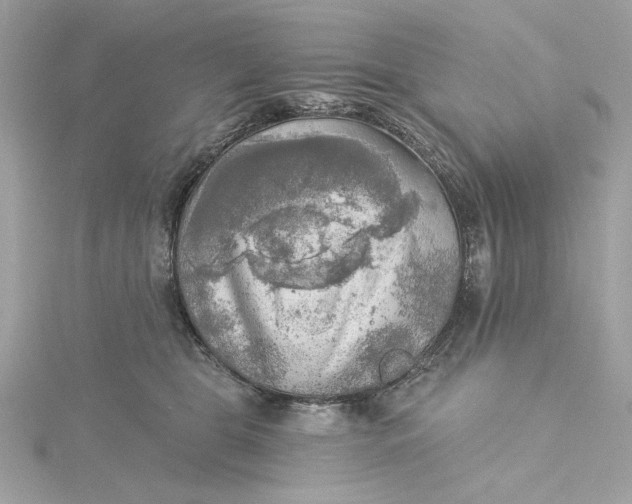 X0000115430469200911251229