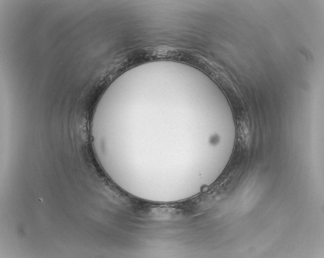 X0000115430470200911251229