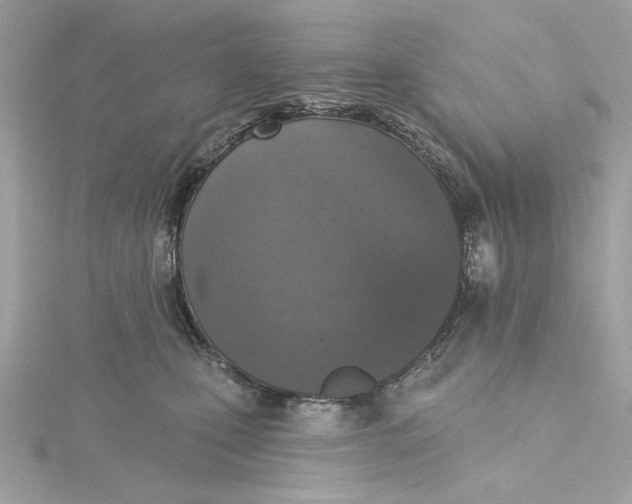 X0000115430471200911251229