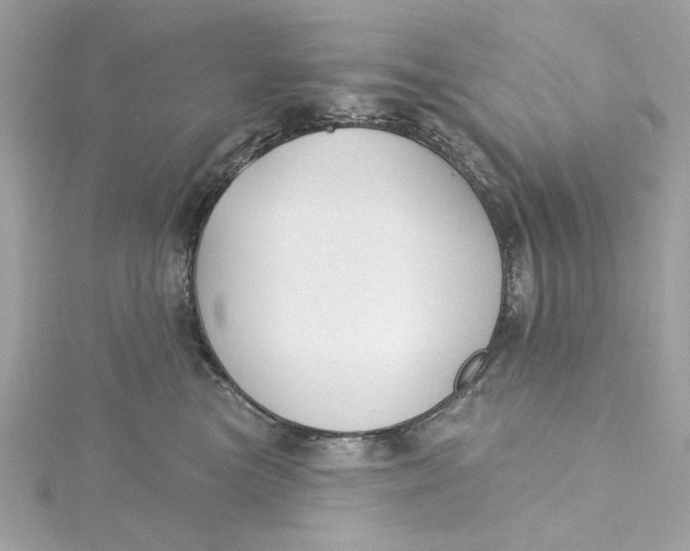 X0000115430473200911251229