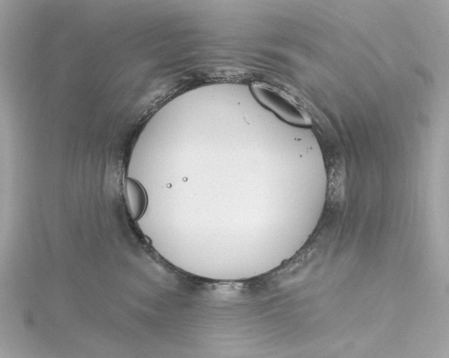 X0000115430474200911251229