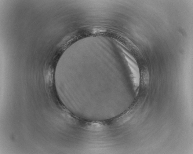 X0000115430475200911251229